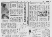 読売新聞（東日本版）