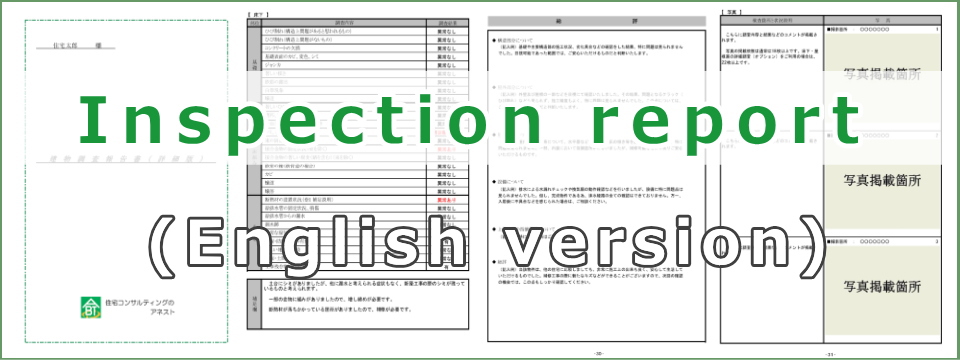 Inspection report (English version)